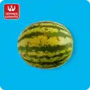Bild 1 von   XXL Wassermelone, Ursprung: Spanien / Italien
