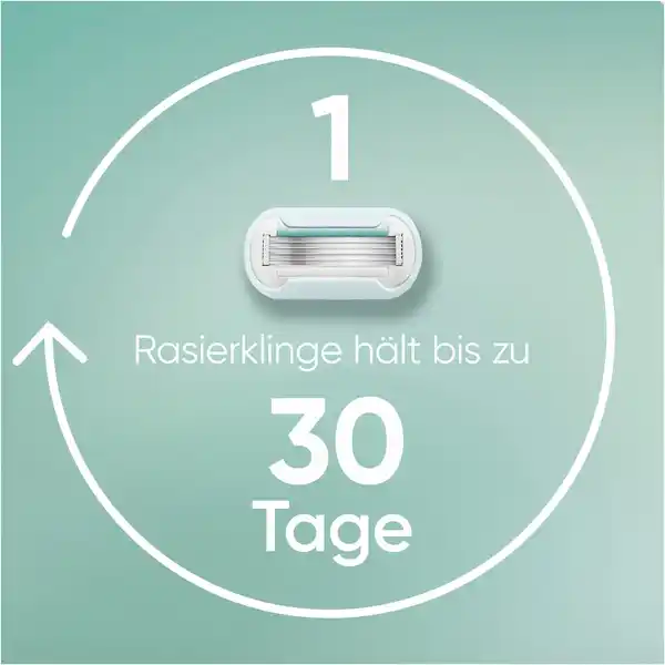 Bild 4 von Gillette Venus Deluxe Smooth Sensitive System Handstück & Duschhänger