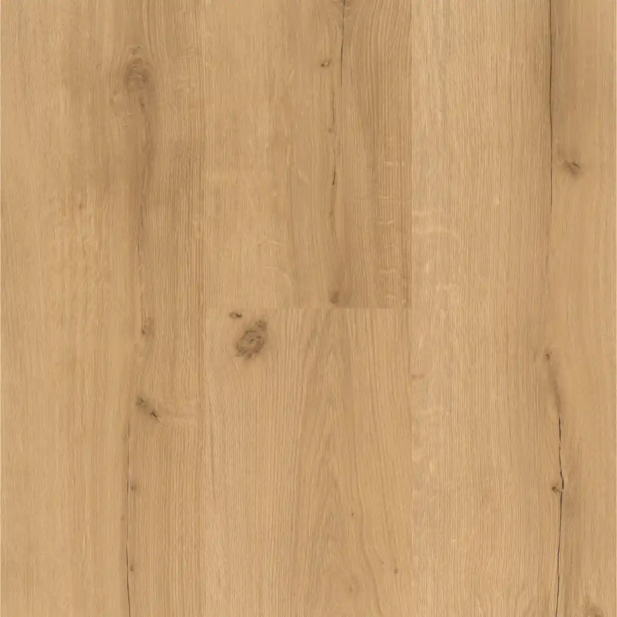 Bild 1 von Parador Vinylboden 'Basic 30' Eiche Lumera Natur 9,4 mm