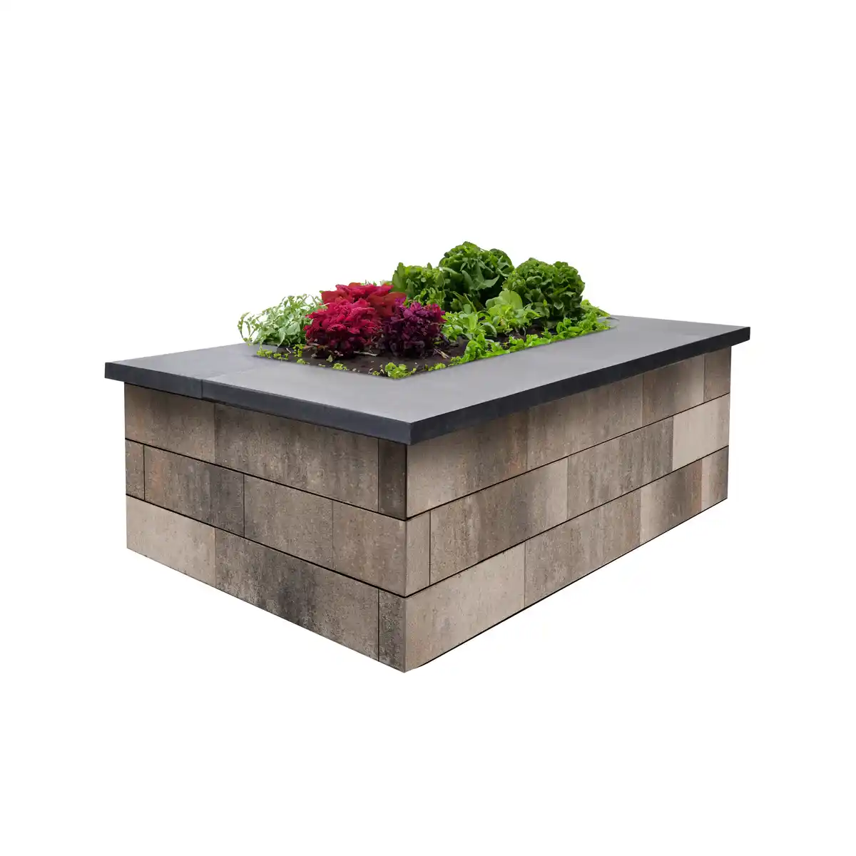 Bild 1 von EHL Mauerstein-Set 'Tribus Citypur' muschelkalkfarben für  Hochbeet