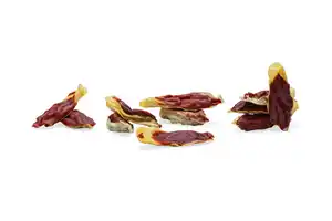 Beeztees Hundesnack Adult Kaninchenohren 250 g gefĂĽllt mit Ente