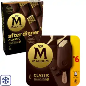 Magnum Multipack Eis