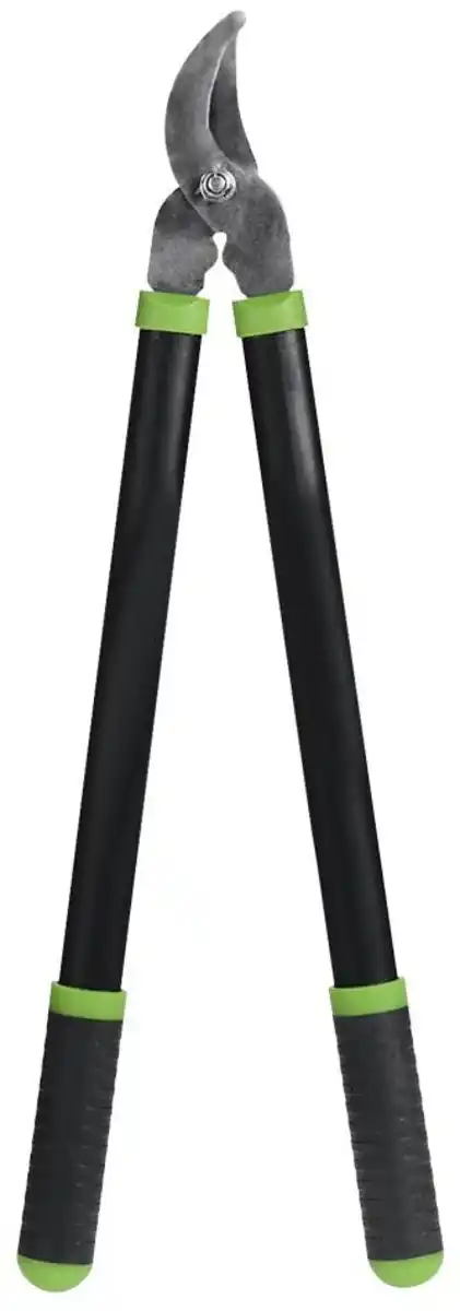 Bild 1 von Astschere