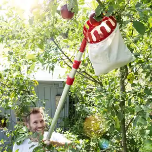 Powertec Garden Teleskop-Obstpflücker