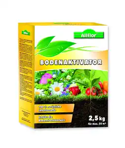 Allflor Bodenaktivator 2,5 kg