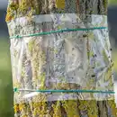 Bild 1 von Gardigo Baum-Leimring