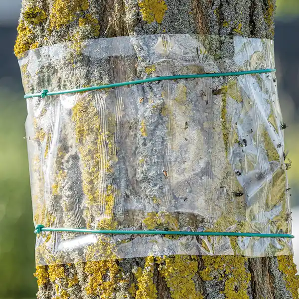 Bild 1 von Gardigo Baum-Leimring