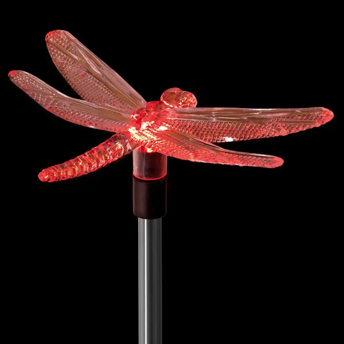 Bild 3 von I-Glow LED-Solar-Erdspieß