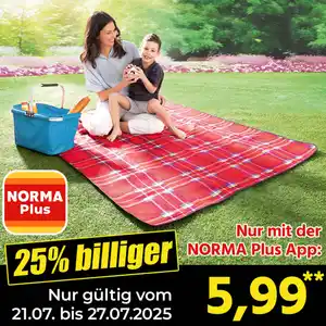 Solax Sunshine Isolierte Picknickdecke mit Alu-Rückseite