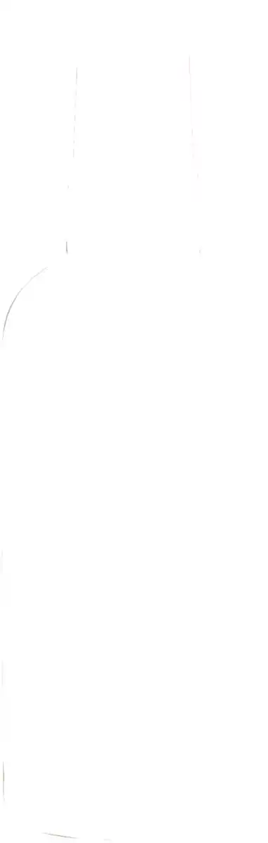 Bild 2 von ISANA Rasieröl Sunny Oasis, 100 ml