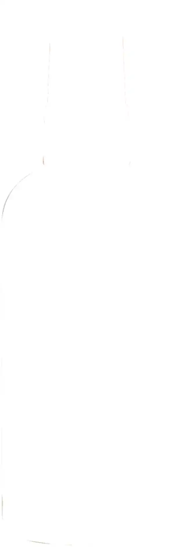 Bild 2 von ISANA Rasieröl Sunny Oasis, 100 ml