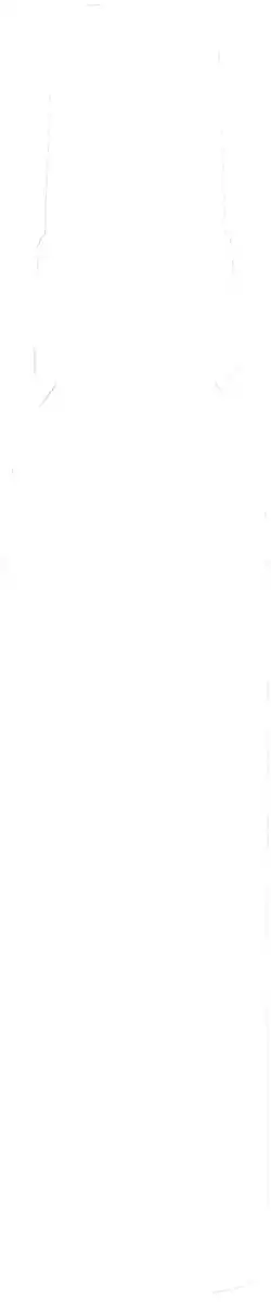 Bild 4 von ISANA Rasieröl Sunny Oasis, 100 ml