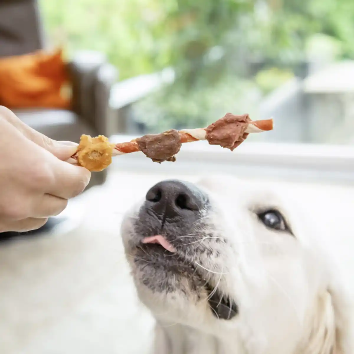 Bild 2 von 8in1 Triple Flavour köstliche Kaustangen, 113 g