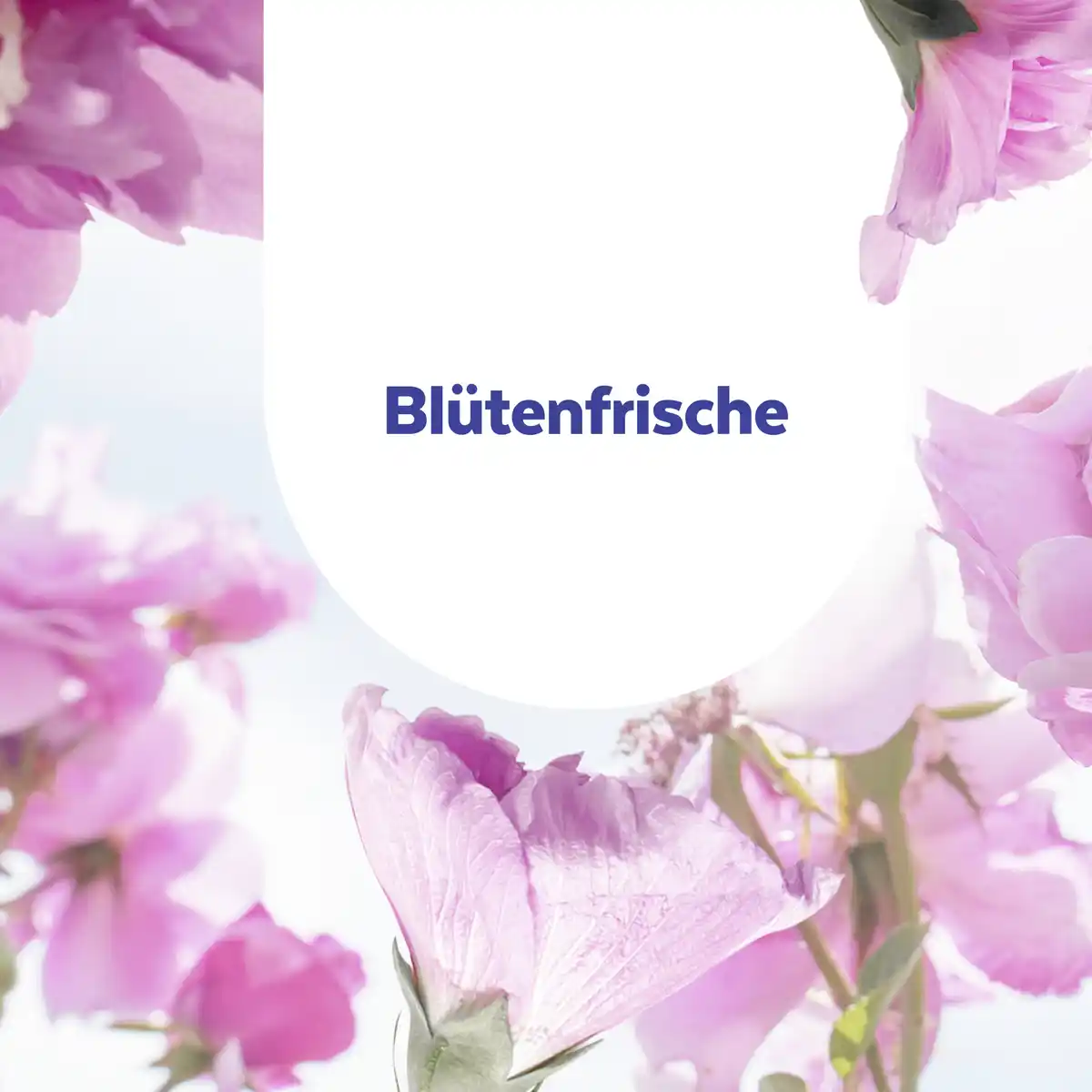 Bild 4 von Sagrotan Allzweck- & Boden-Reiniger Blütenfrische, 1.500 ml