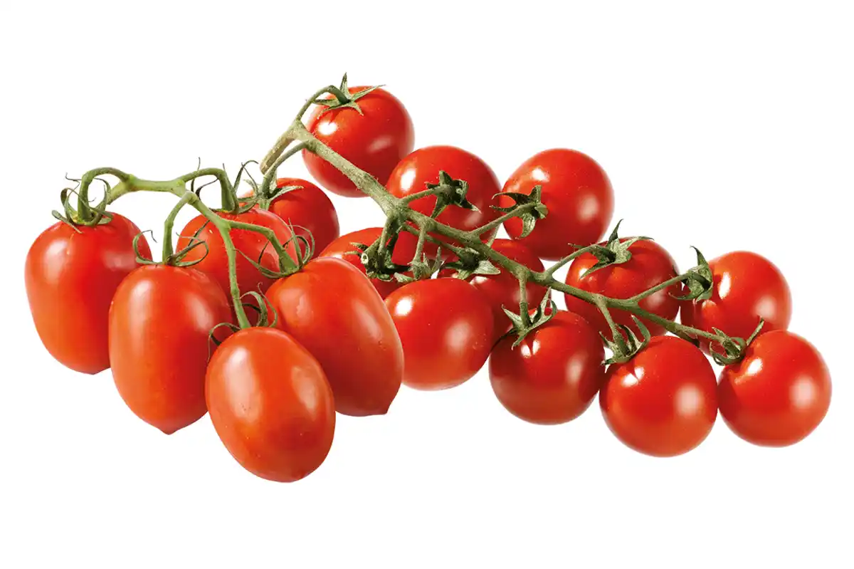 Bild 1 von Cocktail- oder Roma-Cocktail-Tomaten