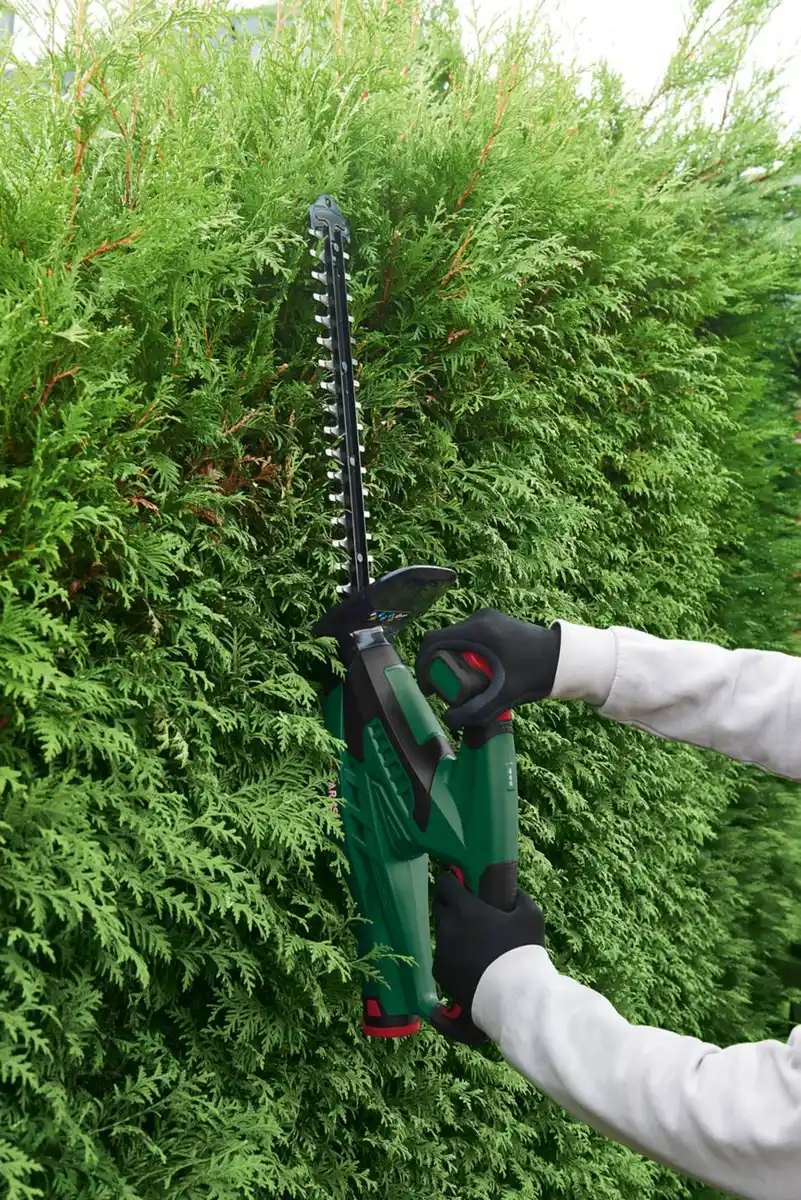 Bild 3 von PARKSIDE® Akku-Heckenschere 12 V »PHSA 12 B1« mit Akku