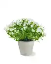 Bild 1 von Glockenblume