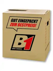 Umzugskarton