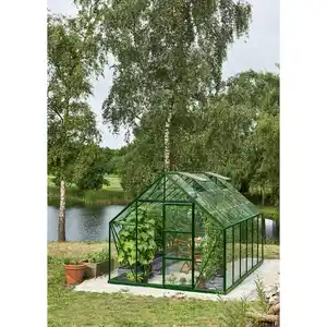 Halls Gewächshaus 'Universal 128' 257 x 384 cm mit 3 mm Blankglas grün