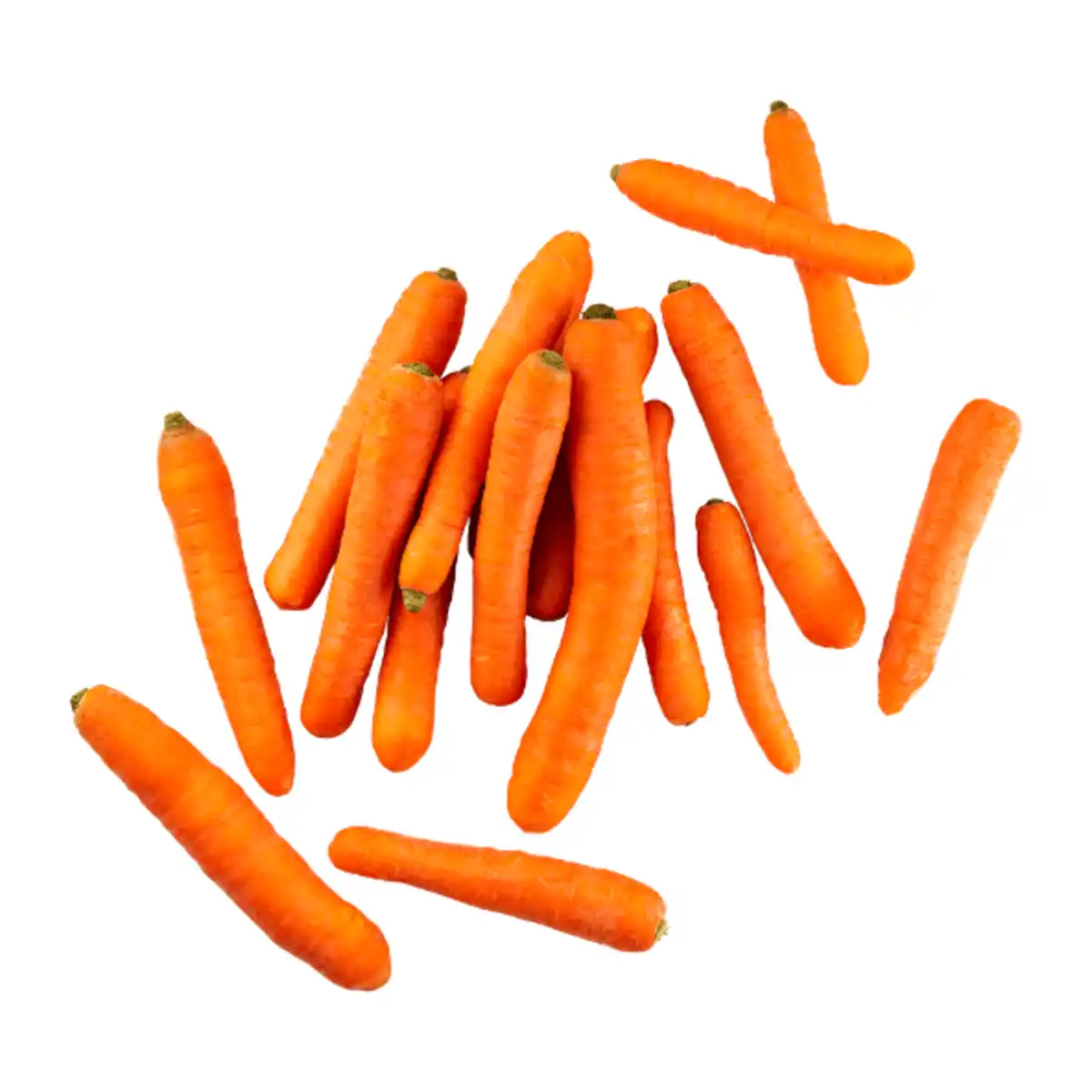 Bild 1 von BIO Bio-Speisemöhren 1kg