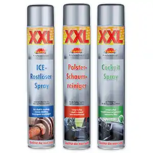 Carfit Professional XXL-Kfz-Spray