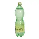 Bild 1 von "NABEGHLAVI" Natürliches Mineralwasser mit Kohlensäure vers...