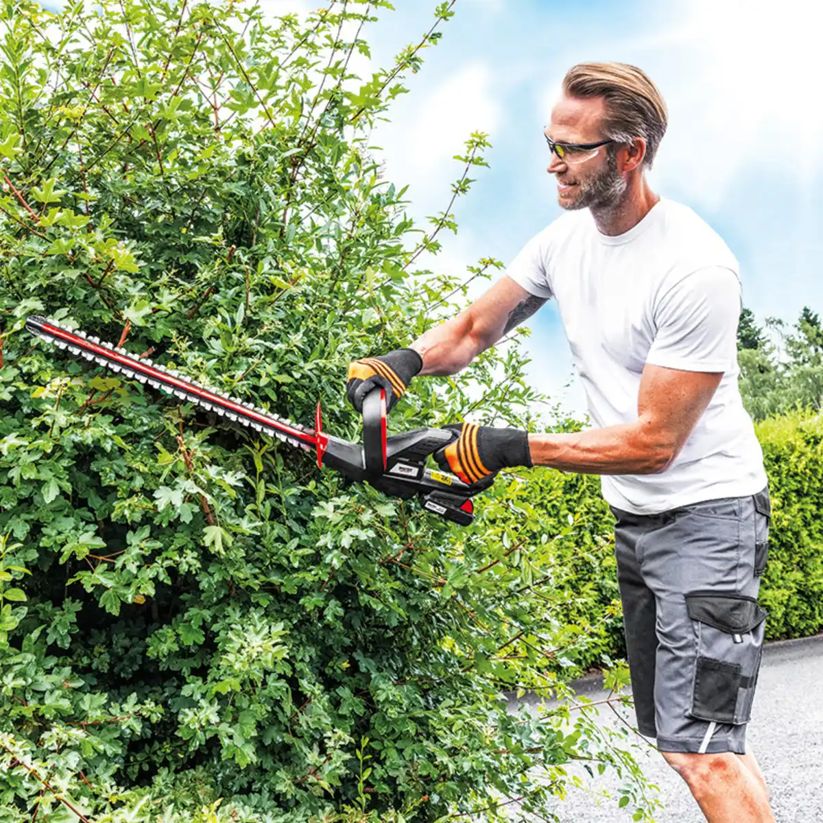 Bild 1 von Walter Li-Ion Akku-Heckenschere 20 V