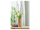 Bild 3 von LIVARNO home Übertopf / Vase, aus glasierter Keramik