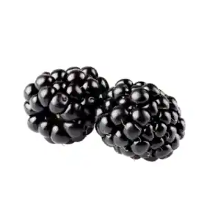 Deutschland Brombeeren