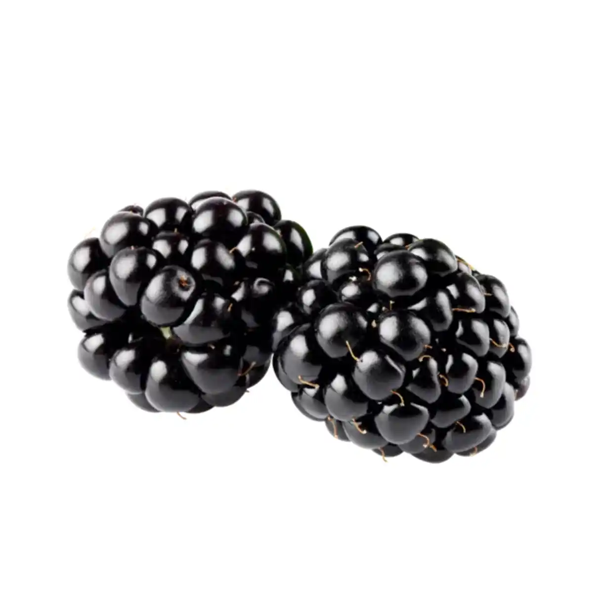 Bild 1 von Deutschland Brombeeren