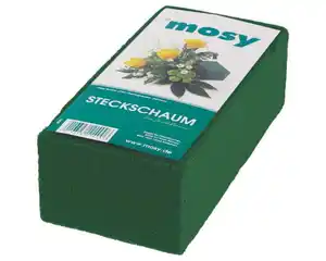 Steckschaum Frisch