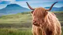 Bild 1 von Rundreisen Großbritannien - Schottland: Wilde Landschaften, imposante Burgen & geschichtsträchtige Städte