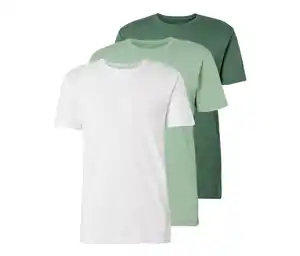 3 T-Shirts mit Rundhalsausschnitt