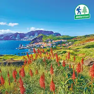 Wandern auf Madeira