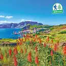 Bild 1 von Wandern auf Madeira