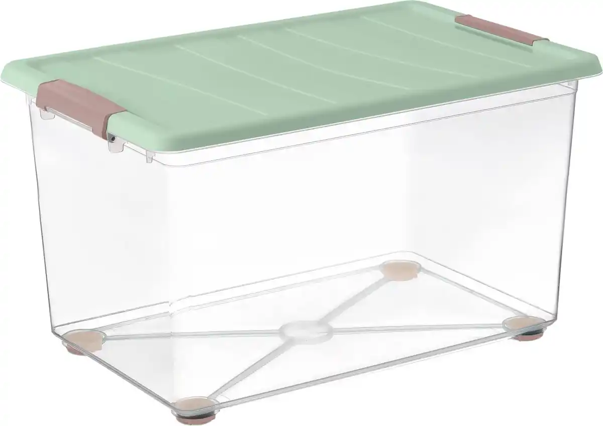 Bild 1 von DOMOPAK LIVING Rollbox »Summer Nature«