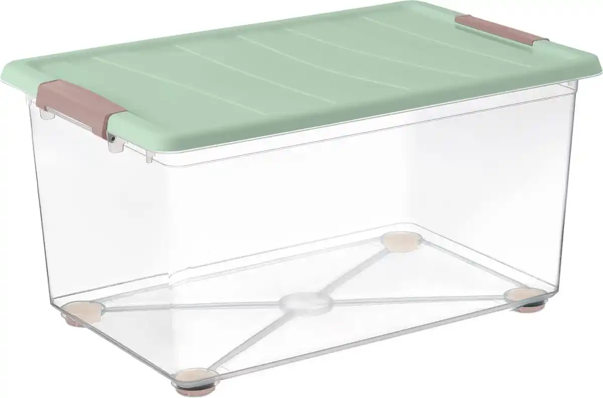 Bild 1 von DOMOPAK LIVING Rollbox »Summer Nature«