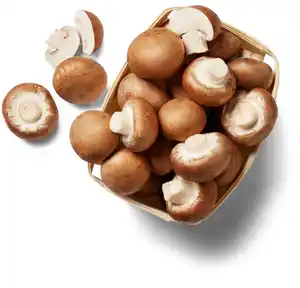 Dtsch. Kulturchampignons, braun, 300-g-Schale