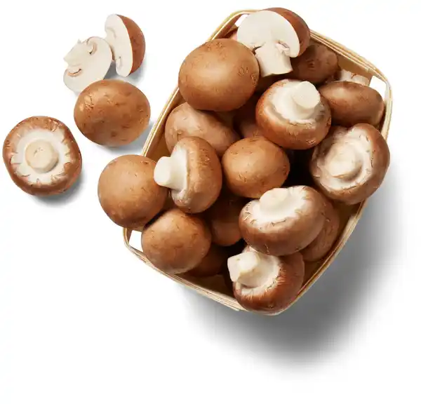 Bild 1 von Dtsch. Kulturchampignons, braun, 300-g-Schale