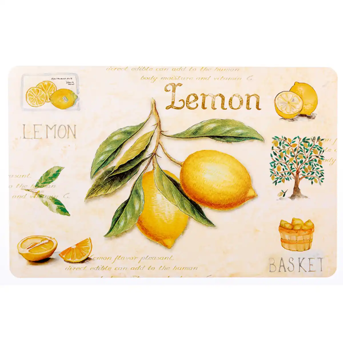 Bild 3 von Casa Royale Platzmatten- und Untersetzer-Set 8tlg.