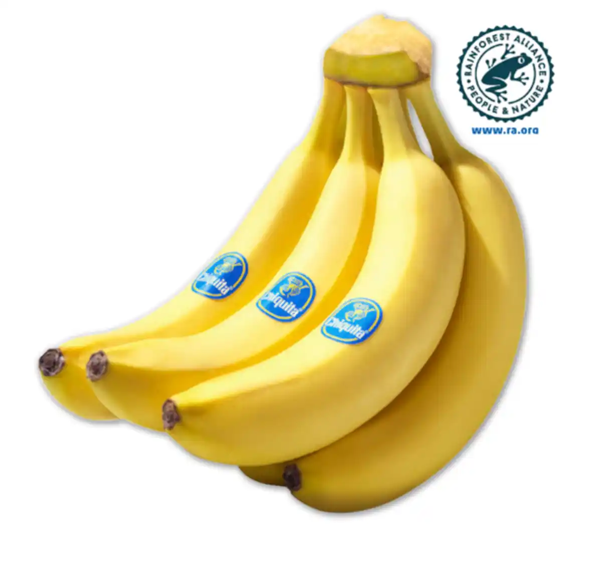 Bild 1 von CHIQUITA Bananen