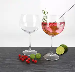 Gin Tonic Gläser