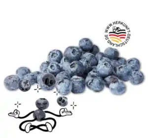 NATURGUT Deutsche Bio-Heidelbeeren