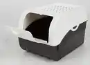 Bild 1 von Gemüsebox Gemüsebox