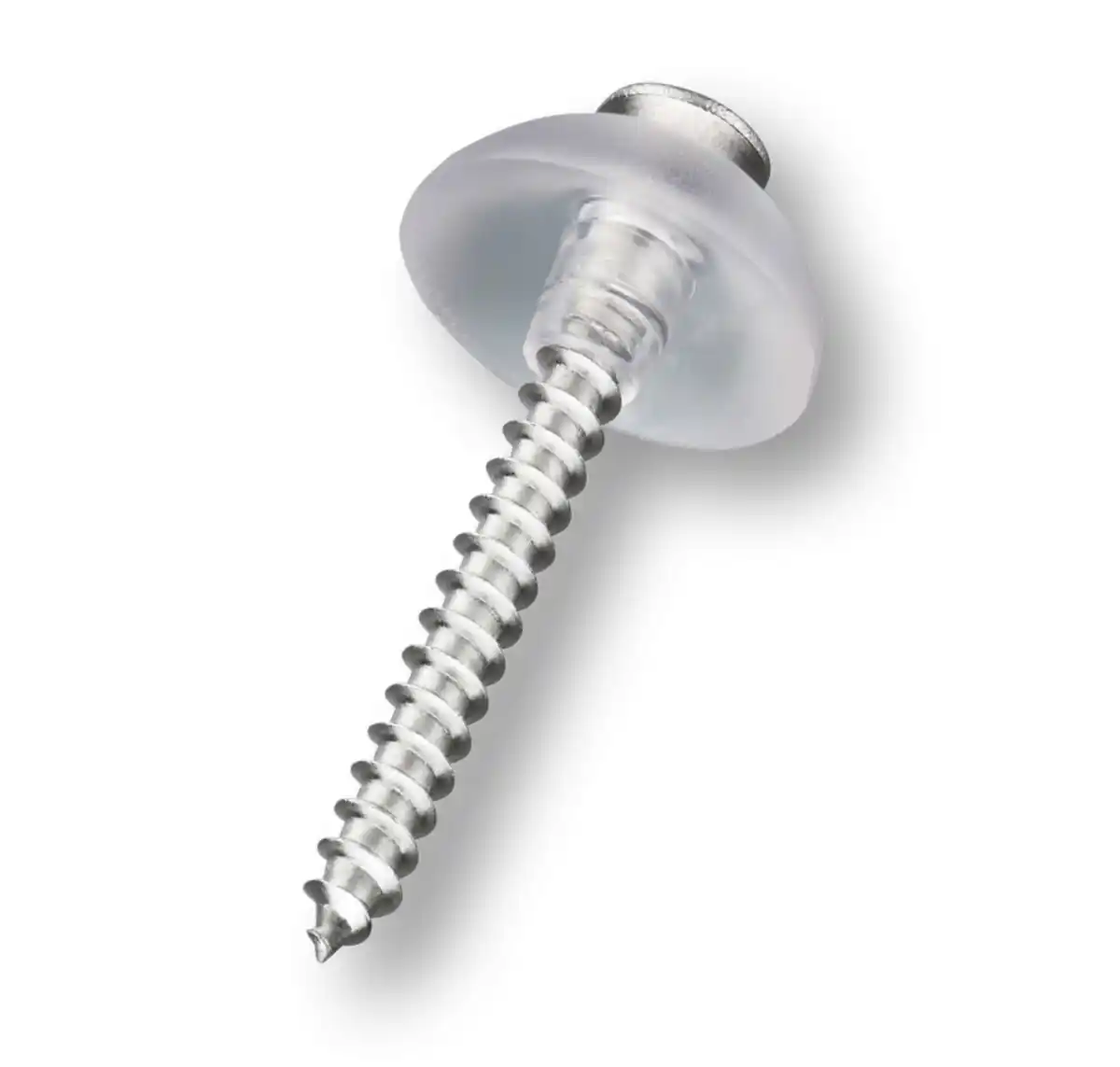 Bild 1 von Torx Schrauben