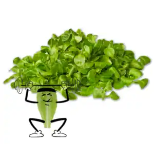 NATURGUT Bio-Feldsalat