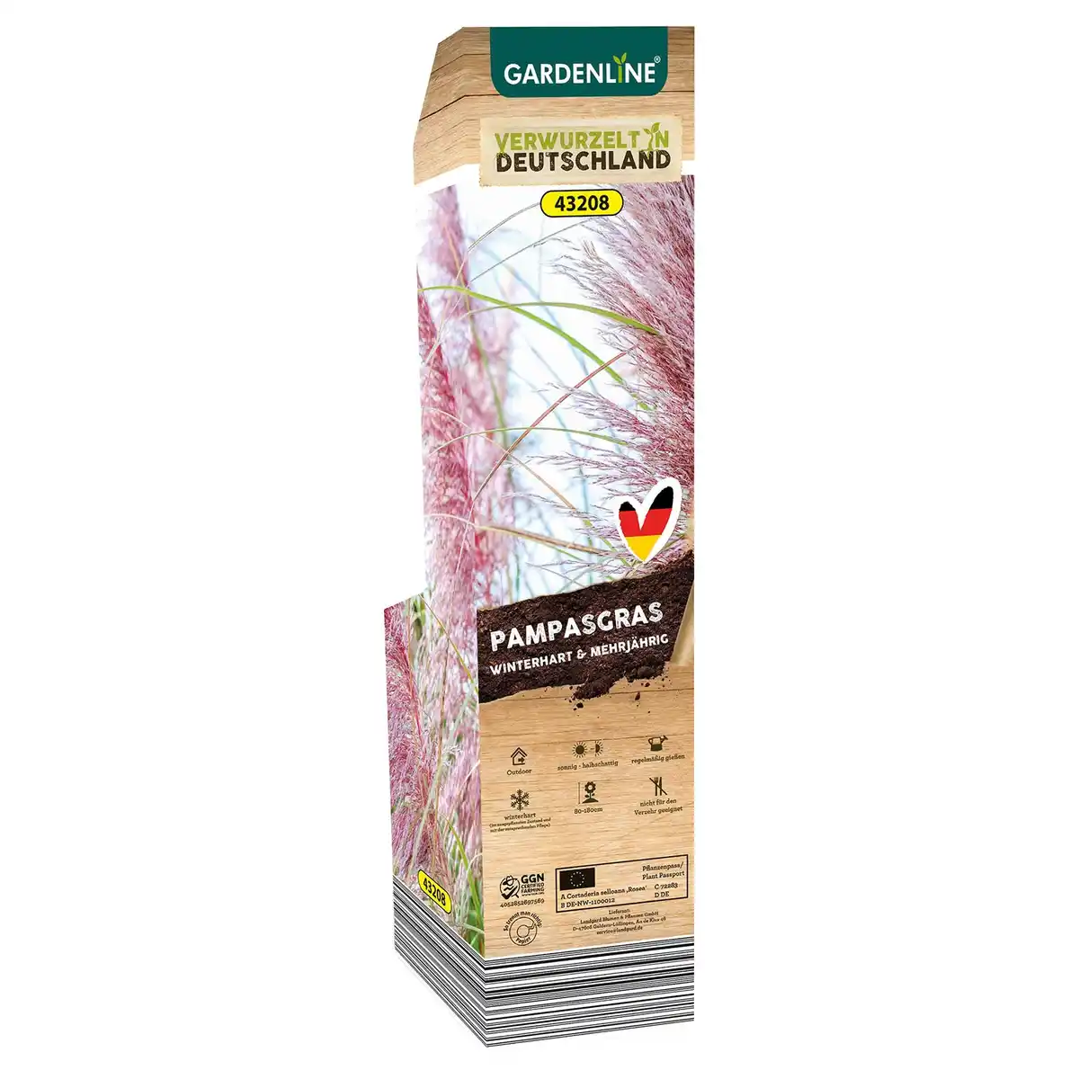 Bild 1 von GARDENLINE Pampasgras rosea