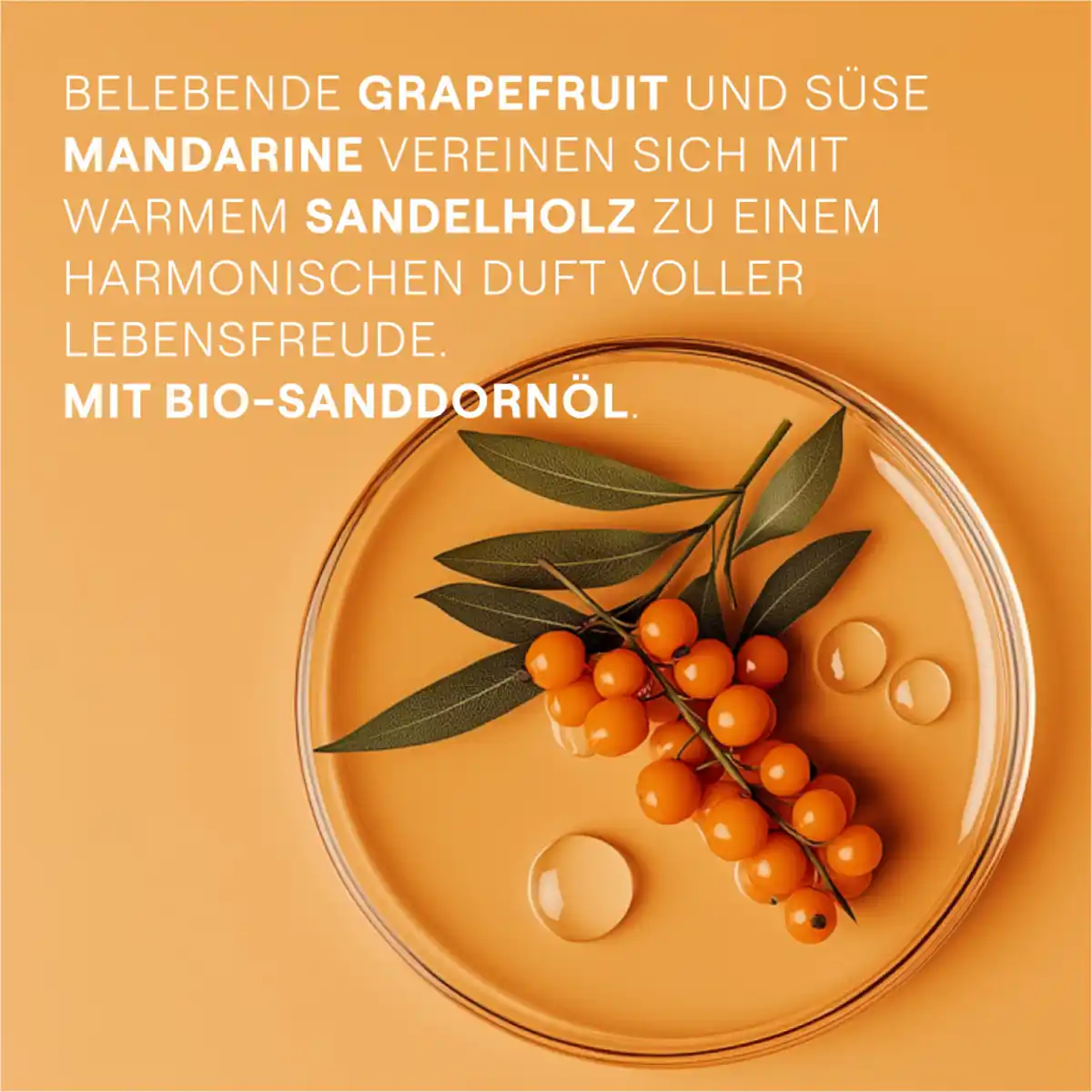 Bild 3 von Weleda Vitality Shower Cream Sanddorn, 400 ml