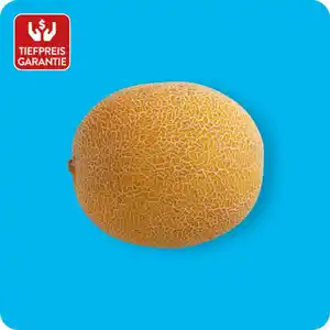 Galia Melone, Ursprung: Spanien