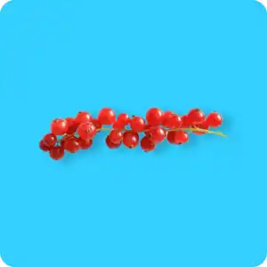   Johannisbeeren, rot, Ursprung: Deutschland